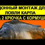 Донный монтаж для ловли карпа с кормушкой на два крючка