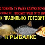 2 ОСНОВНЫХ  И ГЛАВНЫХ ФАКТОРА О КОТОРЫХ ДОЛЖЕН ЗНАТЬ КАЖДЫЙ РЫБАК ПЕРЕД РЫБАЛКОЙ