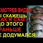 Смотри видео и ты узнаешь как  улучшить клёв капризной рыбы летом