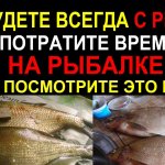 Посмотри это видео и Ты узнаешь, для чего нужны аттрактанты, элексиры, ароматизаторы на рыбалки