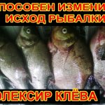 Мощный элексир клёва способный изменить исход любой рыбалки
