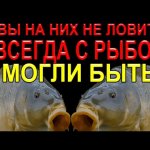 Вы удивитесь когда узнаете о  том что рабочие уловистые насадки лежат у вас дома