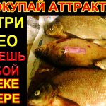 Это средство в 10 раз лучше любого аттрактанта для рыбалки, работает по  всей рыбе летом
