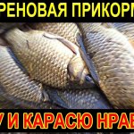 ВСЕ рыбаки говорят, что это ХРЕНОВАЯ ПРИКОРМКА и это правда!  А КАРПУ и КАРАСЮ  нравится!