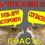 Сверхчувствительная снасть на леща и другую придонную, мирную рыбу, универсальный, #донный_монтаж