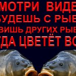 СМОТРИ ЭТО ВИДЕО И ТЫ УЗНАЕШЬ, КАК БЫТЬ ВСЕГДА С РЫБОЙ, КОГДА ЦВЕТЁТ ВОДА И ОБЛОВИШЬ ДРУГИХ РЫБАКОВ