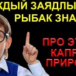 РЫБА НЕ КЛЮЁТ И  ОПЫТНЫЙ РЫБАК ПРО ЭТОТ ФАКТОР ЗНАЕТ! ПОСМОТРЕВ ЭТО ВИДЕО И ВЫ УЗНАЕТЕ ПОЧЕМУ!!