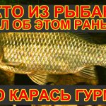 На эти насадки из овощей клюёт только карась  Две насадки на карася своими руками