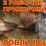 Две Прикормки для Ловли ЛЕЩА Которые не Оставят вас без Рыбы