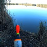 Короткая рыбалка. Ловля на поплавок. Прикормка пшено с макухой. Разнорыбица
