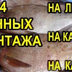 4 донных монтажа для ловли леща, карпа, карася для рыбалки на фидер