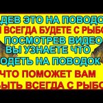 Всегда будете с рыбой одев это на  поводок в донной ловле на реке