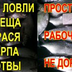 РАБОЧАЯ  ПРИКОРМКА для ЛОВЛИ на ФИДЕР ЛЕЩА, КАРПА, КАРАСЯ, ПЛОТВУ ОСЕНЬЮ
