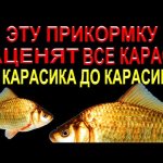 Прикормка  на КАРАСЯ для ловли на УДОЧКУ из КАБАЧКА своими руками