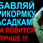 Добавив его к насадкам и в состав прикормки рыба клюёт лучше на рыбалке