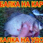 Ловля карася на  поплавок, рыбалка на удочку, рыбалка на карася, рыбалка на поплавок #fishing2022