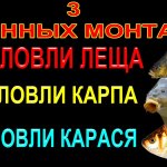 3 ДОННЫХ МОНТАЖА КОТОРЫЕ НЕ ОСТАВЯТ ВАС БЕЗ РЫБЫ