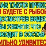 Такая прикормка для рыбалки  Вас сильно дивит!! Но без рыбы не оставит