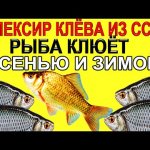 Вы будете с рыбой зимой и осенью, когда сделаете элексир клёва своими руками
