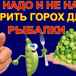 КАК НАДО И НЕ НАДО ВАРИТЬ ГОРОХ ДЛЯ КОРМУШЕК! видео совет от автора канала #ДМИТРИЙ БУТОРОВ