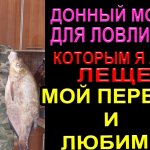 ДОННЫЙ МОНТАЖ ДЛЯ ЛОВЛИ ЛЕЩА,  Мой первый и любимый