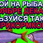 На рыбалке зимой ловлю  в ноябре и декабре используя только на эту прикормку на слабом течении