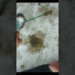 Зимняя рыбалка на мормышку  ловля ельца #shorts