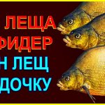 ЛЕЩ на УДОЧКУ и ДВА ЛЕЩА на ФИДЕР