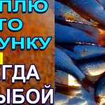 Всегда с рыбой зимой когда сыплю это в лунку!! Ловится вся рыба на зимней рыбалке