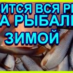 Зимой ловится вся рыба от плотвы до окуня и всегда с уловом на зимней рыбалке