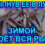 ВСЯ РЫБА КЛЮЁТ ЗИМОЙ НА МОРМЫШКУ насыпав её в лунку. ВСЕГДА С УЛОВОМ