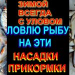 Всегда с Рыбой Зимой на Зимней Рыбалке, Ловлю Плотву, ельца пользуясь этим