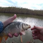 Поплавок по холодной воде. Рыбалка в октябре, Рыба утащила удочку