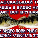 Открываю вам секрет! Где стоит крупная рыба в начале зимы! Там ловил 1 рыбак из 100