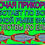 Не бываю без рыбы с такой прикормкой которая  работает по всей мирной рыбе на реке зимой