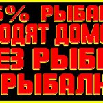 Рыба перестала клевать после снегопада!?  Что делать дальше!? Через какое время клёв возобновиться!?