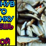 Сыпнув это в лунку на зимней рыбалке рыба отлично клюёт и ловится