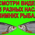 Посмотрев это видео вы узнаете о 5 разных насадках на 5 зимних рыбалках