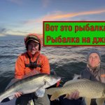 ВОТ ЭТО РЫБАЛКА!!! Жор судака на Дону