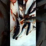 зимняя рыбалка в палатке
