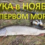 Щука на джиг при первом морозе. Снова выручил Keitech Swing Impact!