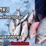 Зимняя ловля крупной плотвы. Зимняя рыбалка на комбайны. Рыбалка на поставушки зимой. Река Волга