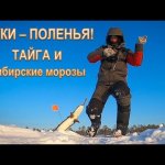 Щуки-поленья, кругом тайга и сибирские морозы
