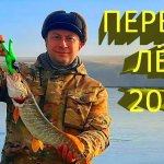 Отличный клев! Семь щук с восьми сработок на жерлицы. Первый лед 2022.