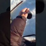 зимняя рыбалка на мормышку, таскаю плотву
