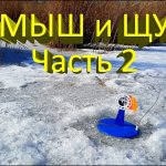 Поставил ЖЕРЛИЦЫ под КАМЫШ (часть 2). Попал на выход щуки. Успешная рыбалка в глухозимье.