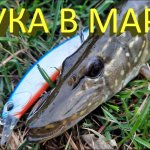 ЩУКА в МАРТЕ. Джиг или воблер? Keitech Swing Impact, Jackall Tiny Magallon, DUO Realis Jerkbait.