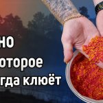 Правильное пшено для рыбалки. Как варить пшено для рыбалки. Каша для рыбалки на фидер. Каша для леща
