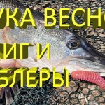 ЩУКА ВЕСНОЙ на ВОБЛЕРЫ и ДЖИГ. Успешная ловля пассивной щуки по холодной воде на разные приманки.
