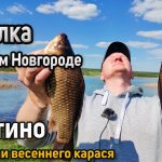 Карась в Инютино. Бешеный клев карася в мае. Рыбалка на карася весной. Ловля карася на фидер